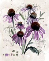Purple Wildflowers II Fine Art Print