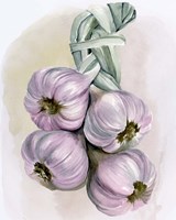 Garlic Braid I Fine Art Print
