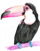 Technicolor Toucan II Fine Art Print