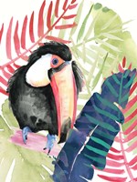 Toucan Palms II Fine Art Print