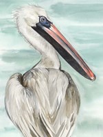 Turquoise Pelican I Fine Art Print