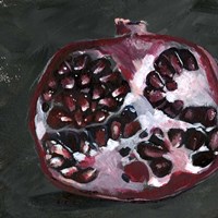 Pomegranate Study on Black I Framed Print