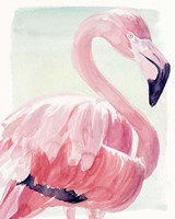 Pastel Flamingo II Fine Art Print