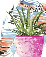 Zebra Succulent I Fine Art Print