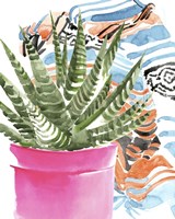 Zebra Succulent II Fine Art Print