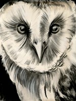 Charcoal Owl II Framed Print