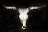 Cow Skull Fine Art Print