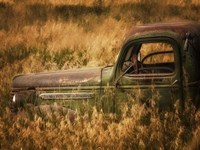 Farm & Field V Fine Art Print