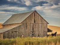 Farm & Field VI Fine Art Print