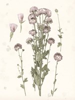 Pressed Blooms I Fine Art Print