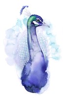 Bejeweled Peacock I Framed Print