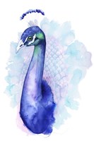 Bejeweled Peacock II Fine Art Print