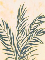 Sunset Fronds I Fine Art Print