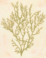 Deep Sea Coral I Fine Art Print