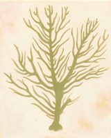 Deep Sea Coral II Fine Art Print