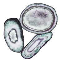 Geode Gems IV Fine Art Print