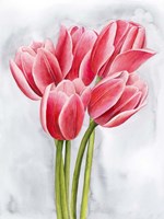 Tulip Tangle II Framed Print
