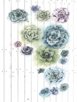 Shiplap Succulent Cluster I Framed Print