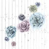 Shiplap Succulent Cluster III Framed Print