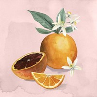 Orange Blossom I Fine Art Print