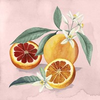 Orange Blossom II Fine Art Print