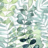 Gossamer Palms I Fine Art Print