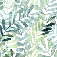 Gossamer Palms II Fine Art Print