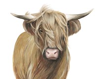 Highland Cattle I Framed Print