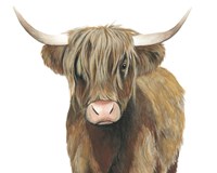 Highland Cattle II Framed Print