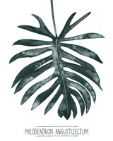 Gemstone Tropicale I Fine Art Print