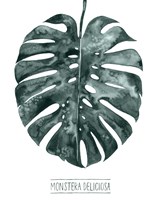 Gemstone Tropicale II Fine Art Print