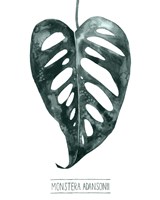 Gemstone Tropicale III Fine Art Print