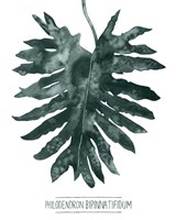 Gemstone Tropicale IV Fine Art Print