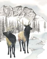 Winter Elk II Fine Art Print