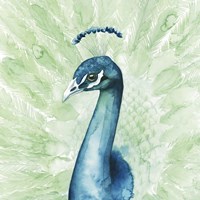 Lucent Plume II Fine Art Print