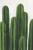 Pura Vida III Framed Print