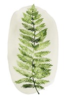 Spot Fern I Fine Art Print