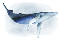 Watercolor Humpback I Fine Art Print