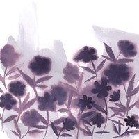 Ultra Violets II Fine Art Print