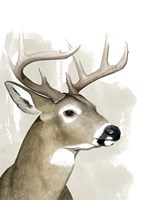 Timberland Friend I Framed Print