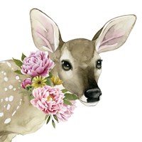 Deer Spring I Framed Print