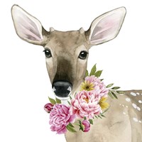 Deer Spring II Framed Print