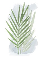 Palm Overlay I Fine Art Print