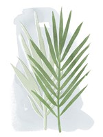 Palm Overlay II Fine Art Print