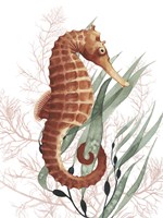 Seahorse Treasures I Fine Art Print