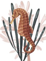 Seahorse Treasures II Fine Art Print