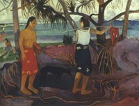 Pandanus, 1891 Fine Art Print