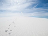 White Dunes I Framed Print