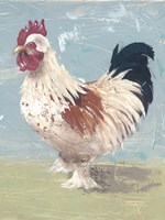 Farm Life-Chickens II Framed Print