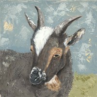 Farm Life-Grey Goat Fine Art Print